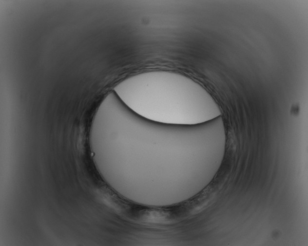 X0000102490223200808081104