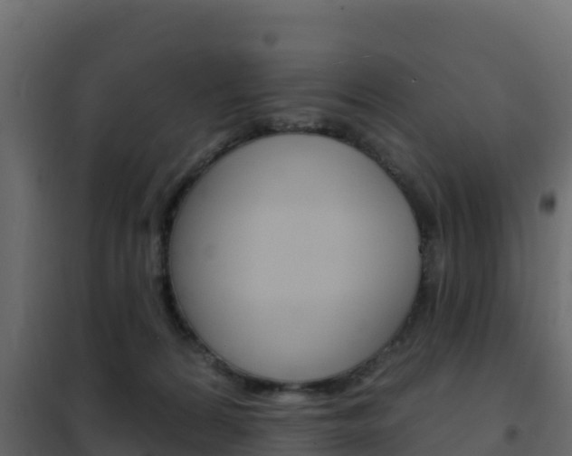 X0000102490224200808081104