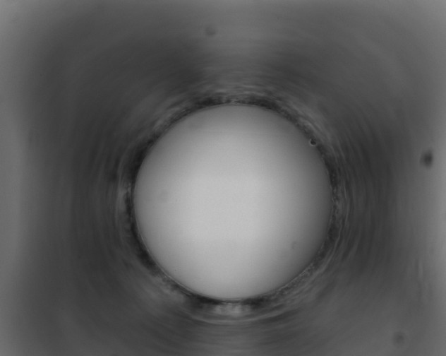 X0000102490225200808081104