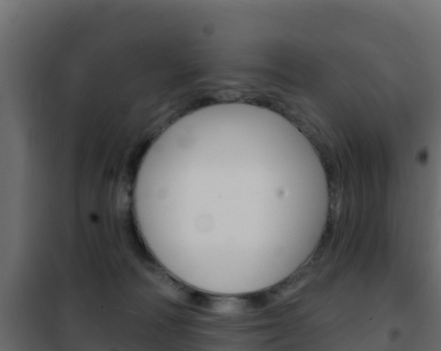 X0000102490226200808081104