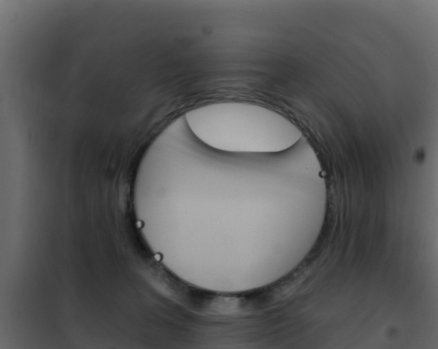 X0000102490227200808081104