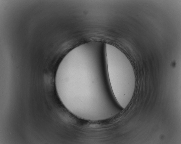 X0000102490228200808081104