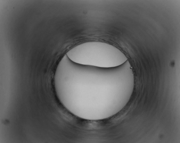 X0000102490229200808081104