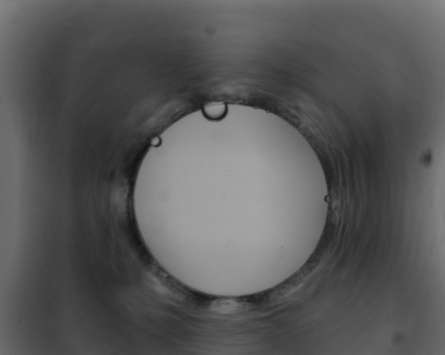 X0000102490231200808081103