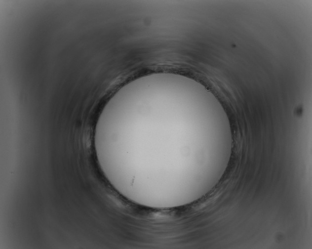 X0000102490232200808081103