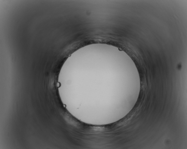 X0000102490233200808081103
