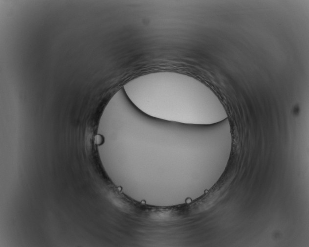 X0000102490235200808081103