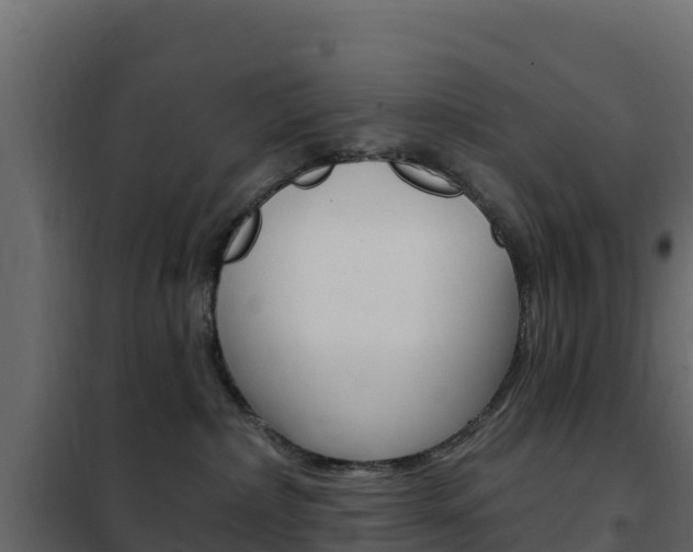 X0000102490236200808081103