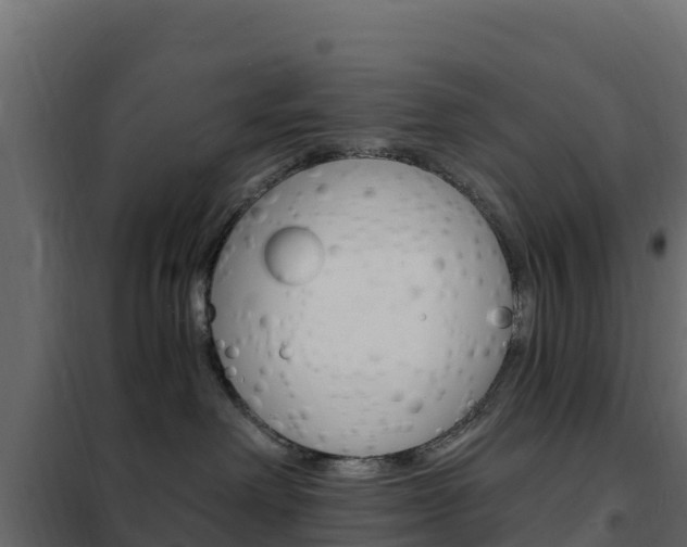 X0000102490238200808081103