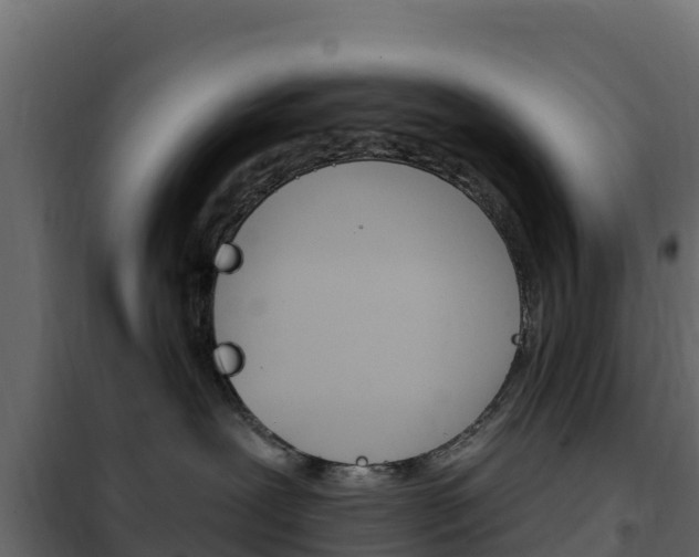 X0000102490239200808081103