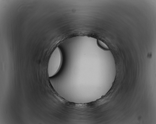 X0000102490240200808081103