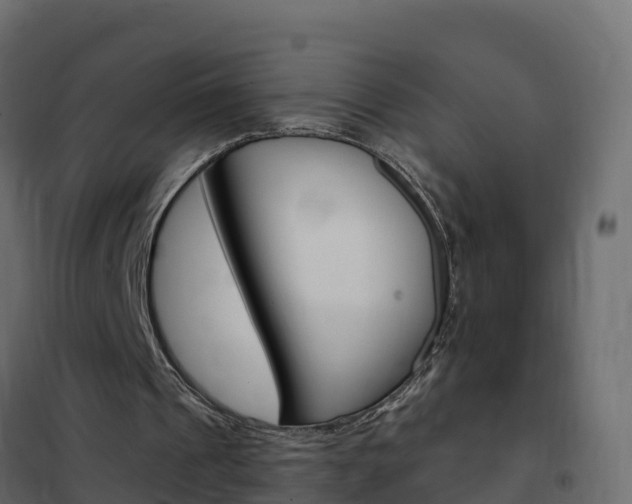X0000102490241200808081103