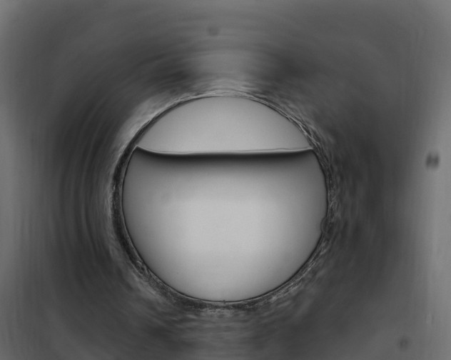 X0000102490242200808081103