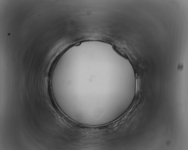 X0000102490243200808081103