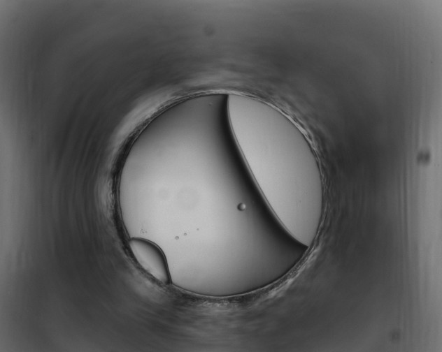 X0000102490245200808081103