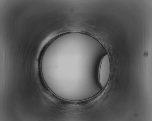 X0000102490246200808081103