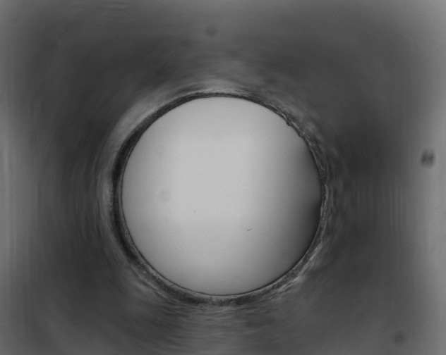 X0000102490247200808081103