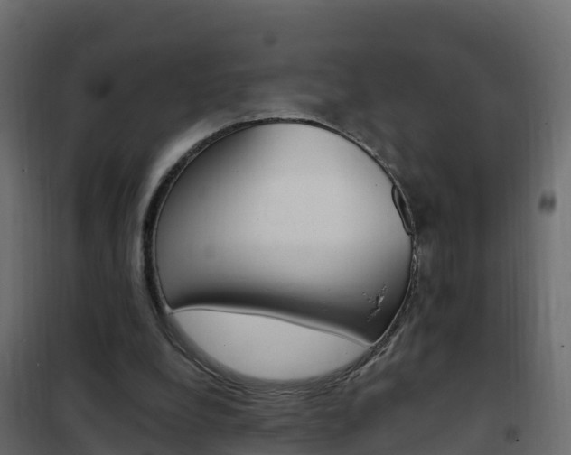 X0000102490248200808081103