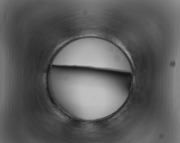 X0000102490249200808081103