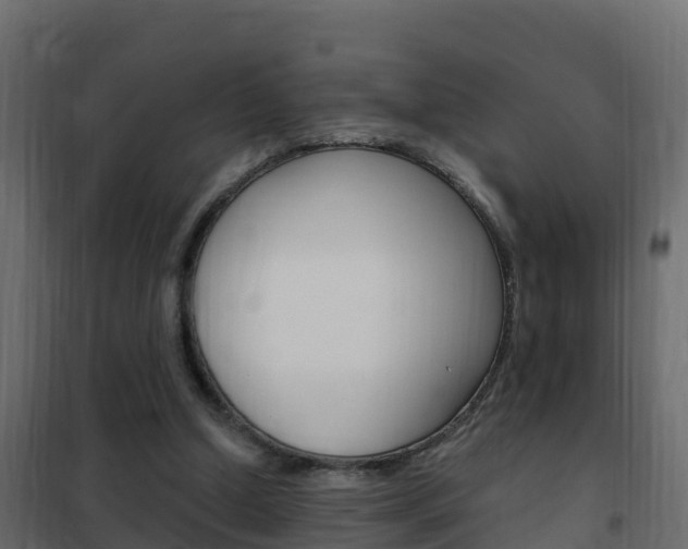 X0000102490250200808081103