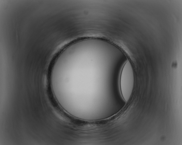 X0000102490252200808081103