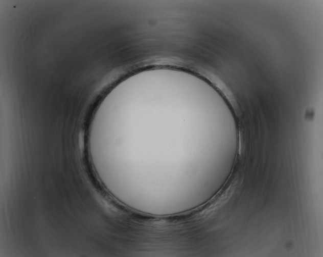 X0000102490253200808081103