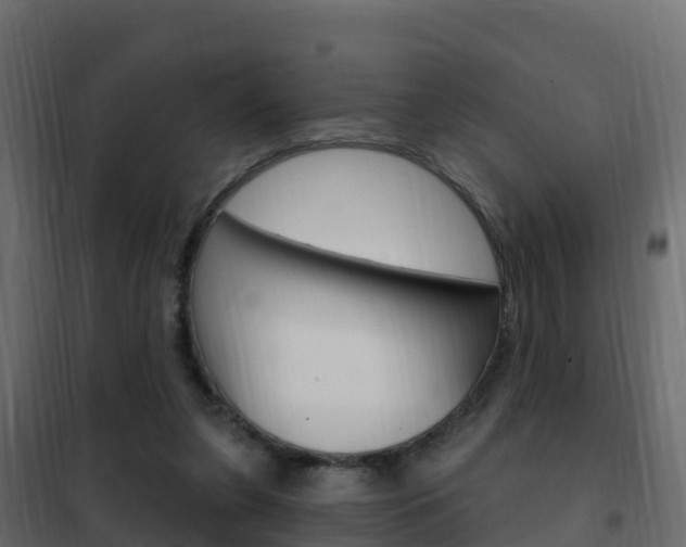 X0000102490255200808081103