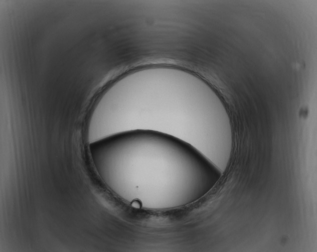 X0000102490256200808081103