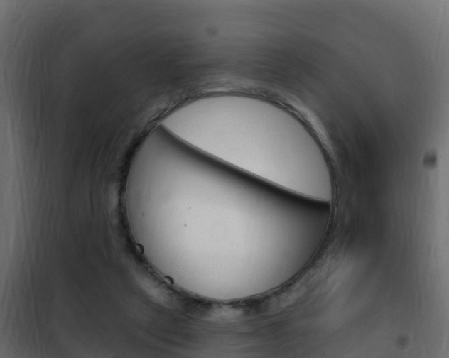 X0000102490257200808081103