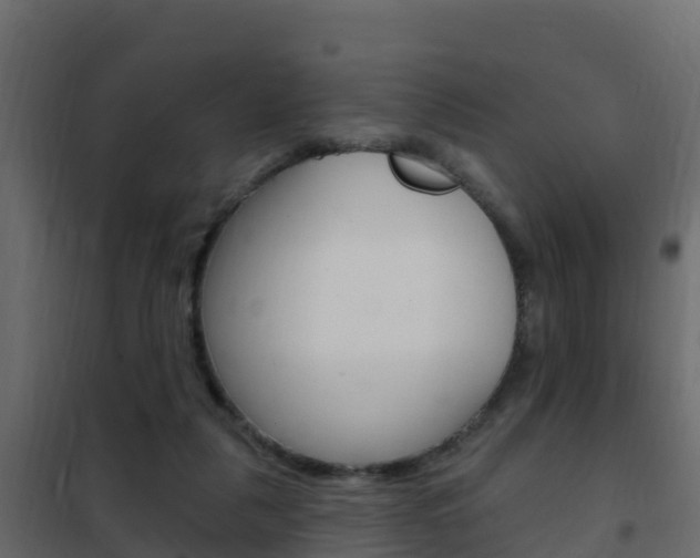 X0000102490259200808081103