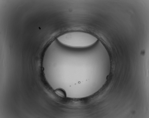 X0000102490260200808081103