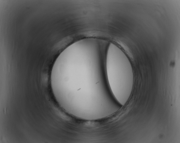 X0000102490261200808081103