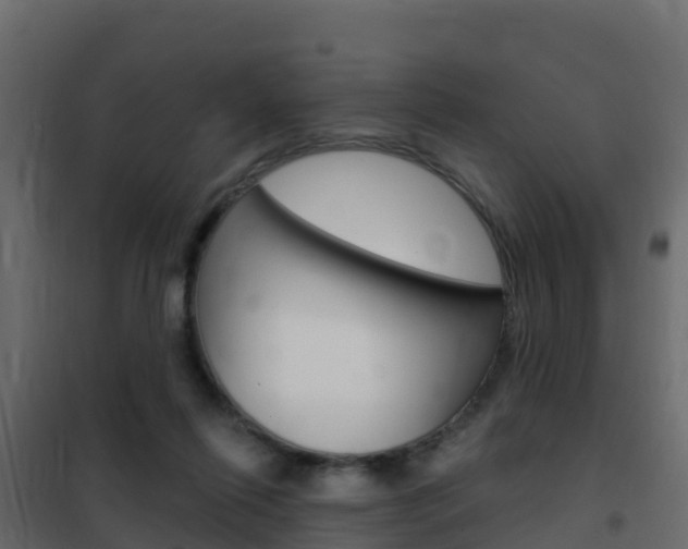X0000102490262200808081103