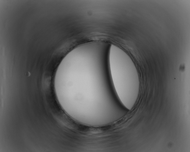 X0000102490263200808081103
