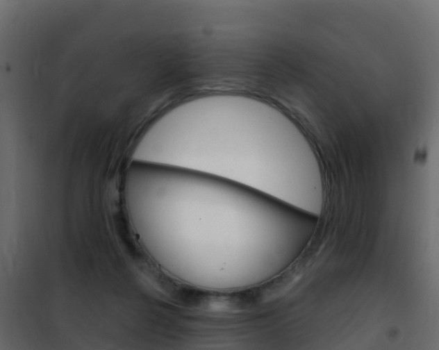 X0000102490264200808081103