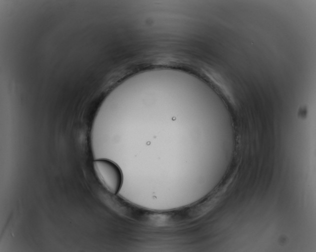X0000102490265200808081103