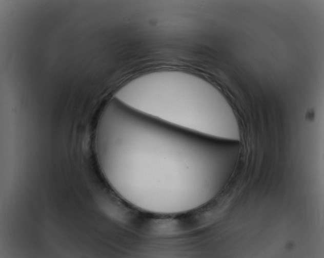 X0000102490266200808081103