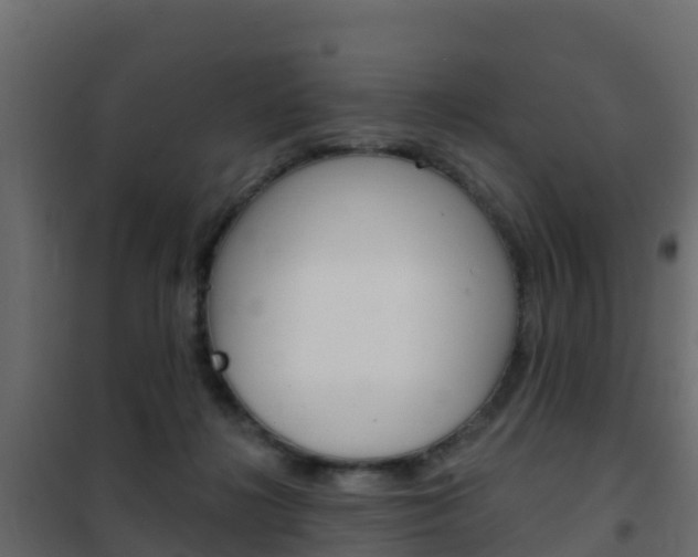 X0000102490268200808081103