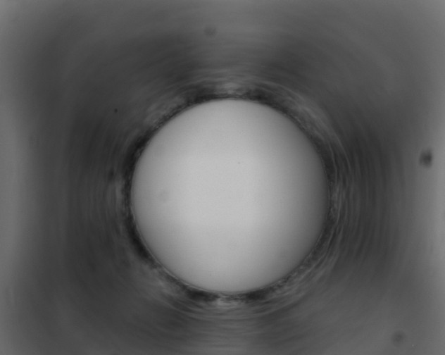 X0000102490270200808081103