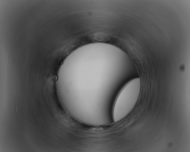 X0000102490271200808081103