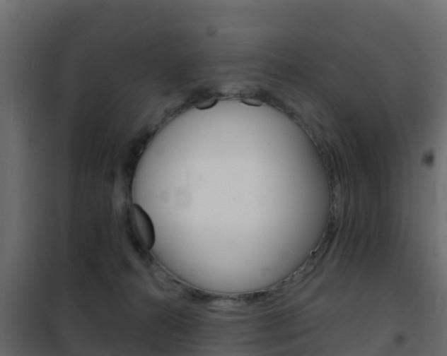 X0000102490272200808081103