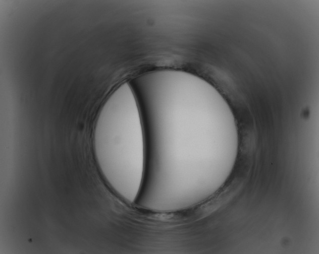 X0000102490273200808081103