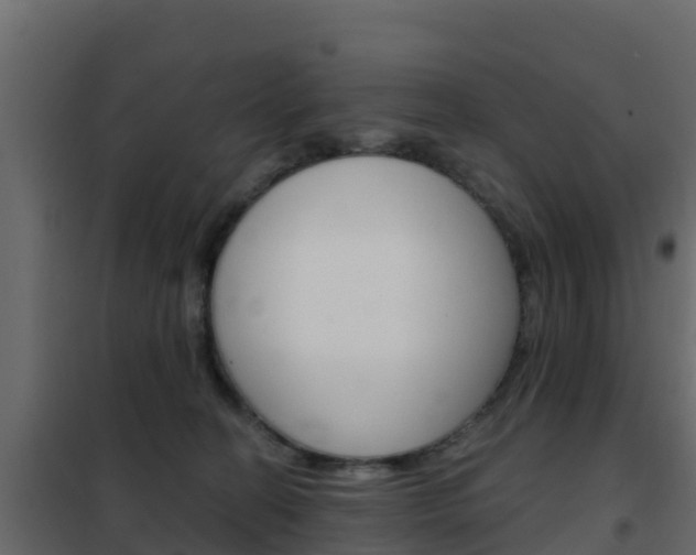 X0000102490274200808081103