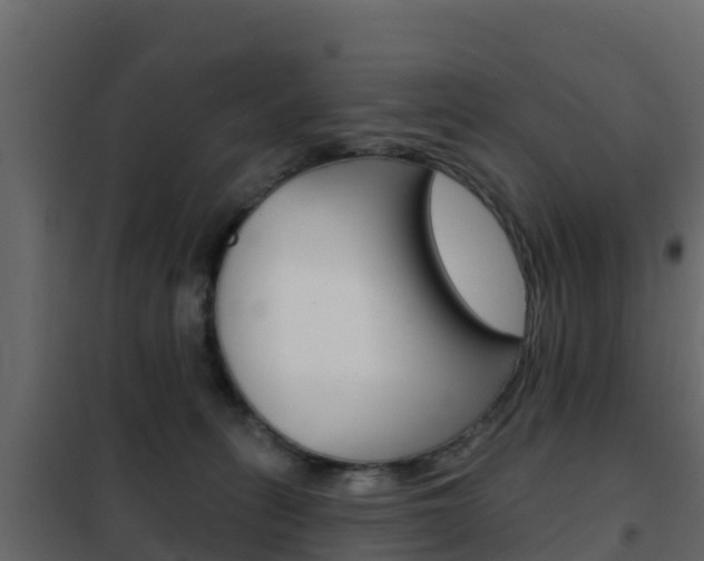 X0000102490275200808081103