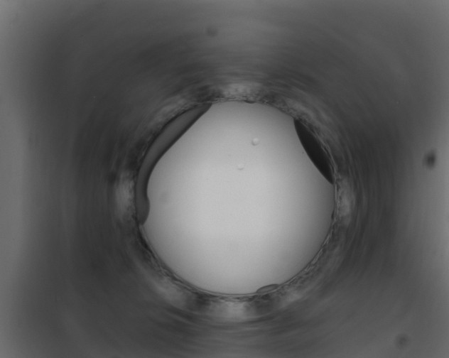 X0000102490276200808081103
