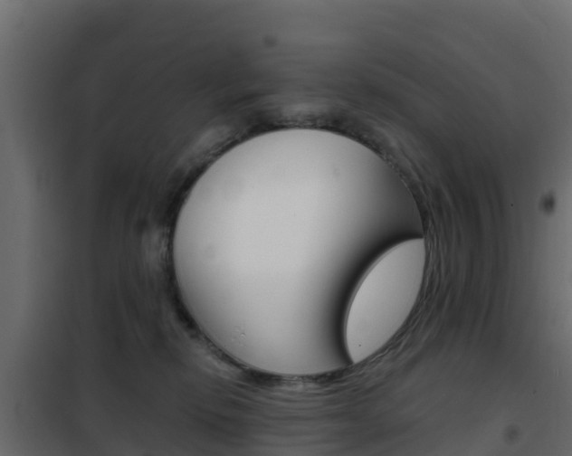 X0000102490278200808081103