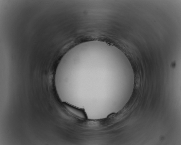 X0000102490279200808081103