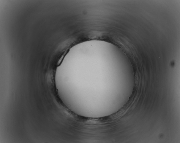 X0000102490280200808081103