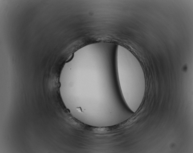 X0000102490281200808081103