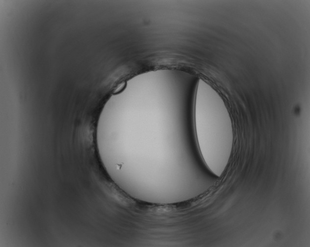 X0000102490282200808081103